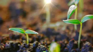 (8-7-22) The Capacity to Grow and Change