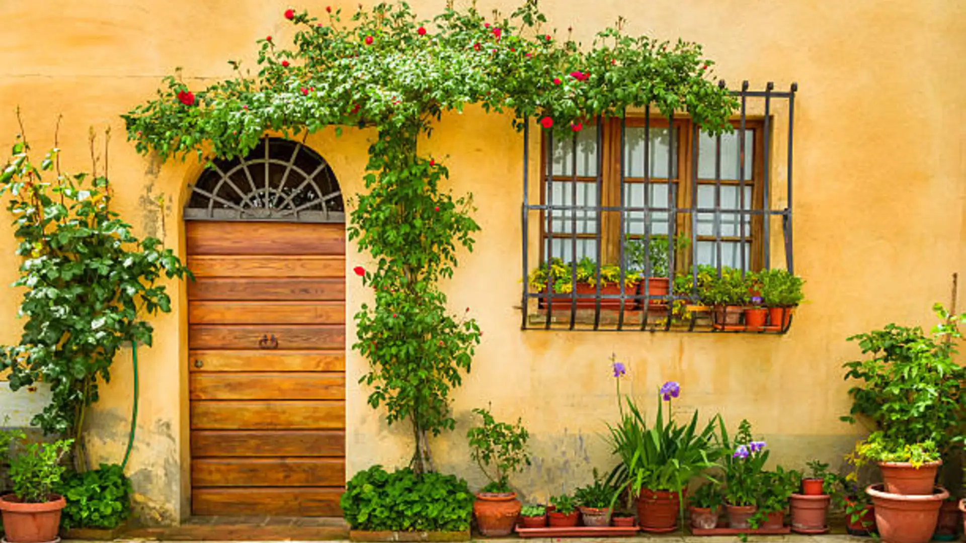 A House Still Standing