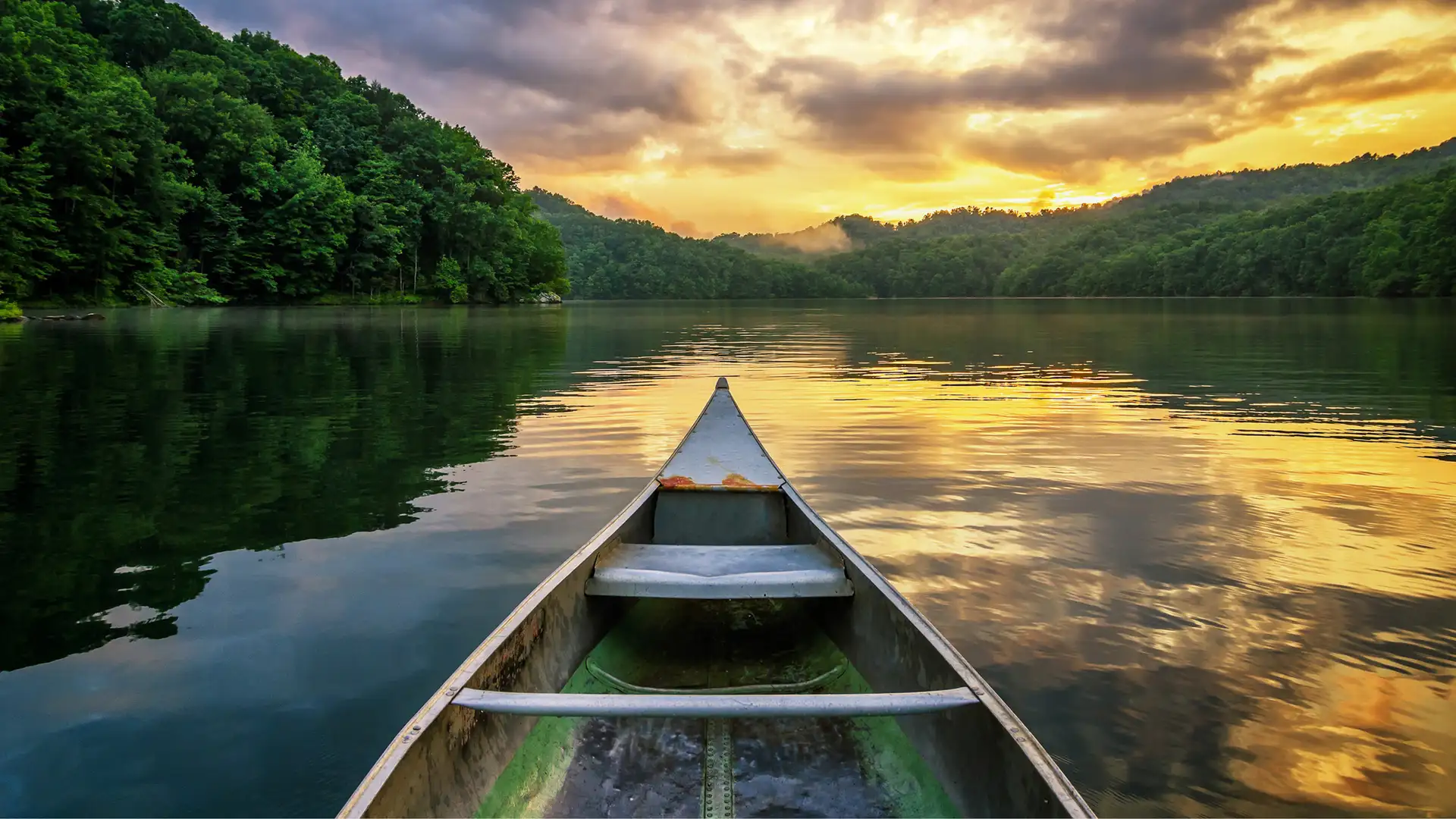 Shared Solitude: The Eye-Opening Epiphanies Of A Children's Writer