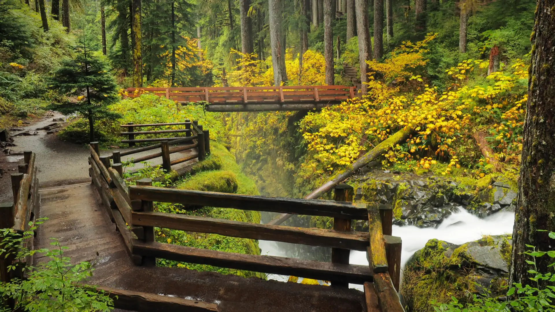 Olympic National Park
