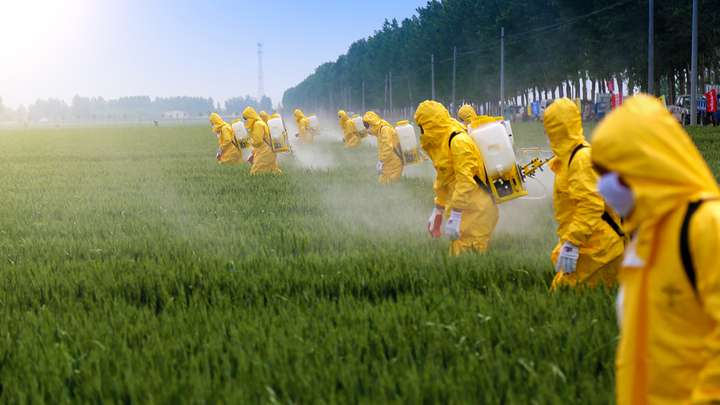 Pesticides and Soil