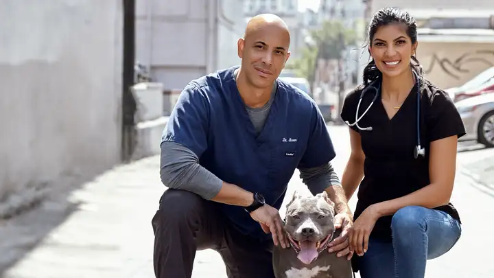 The Street Vet