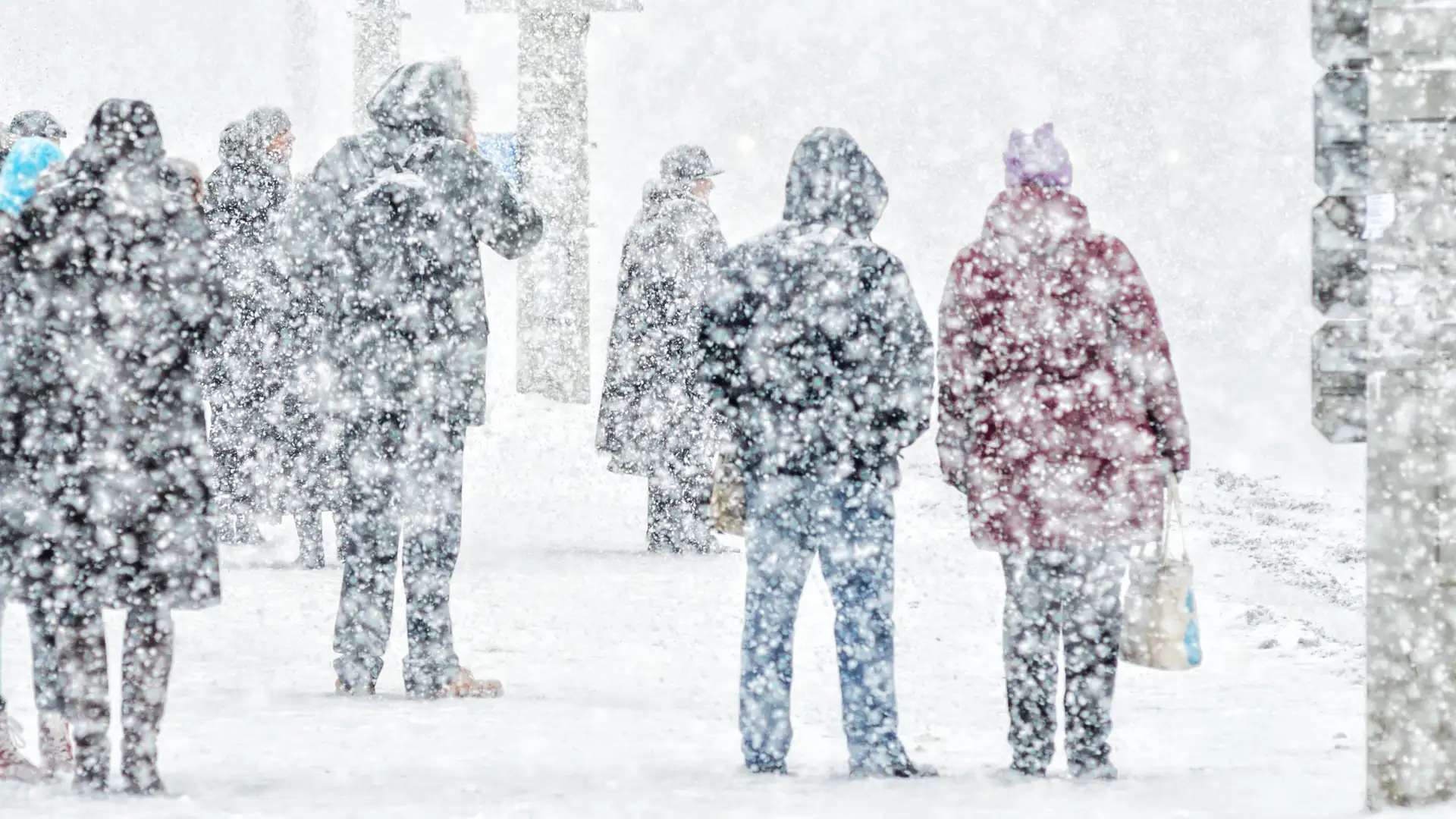 BITE: "The Great Blizzard of 1888" by Pippa White