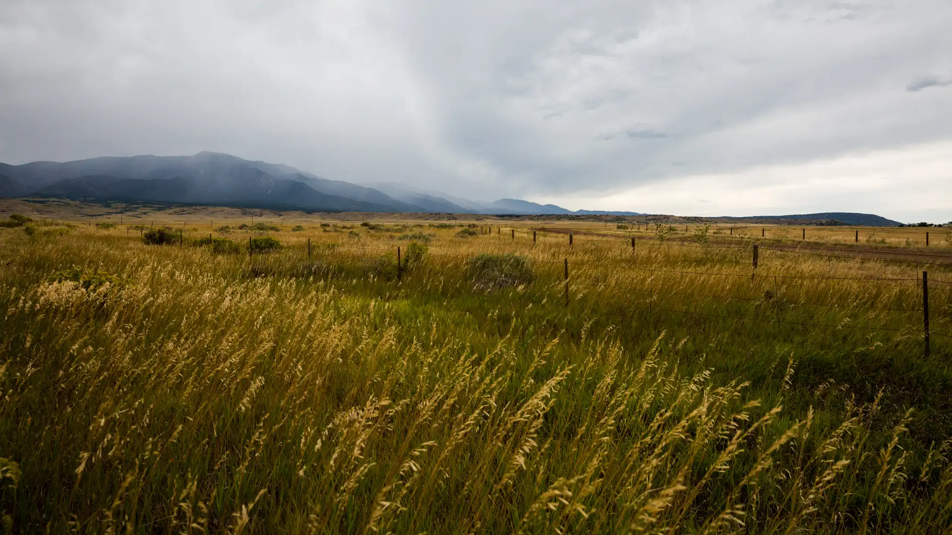 Original Song by Sam Payne: "Songs About You"