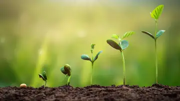Becoming More in Christ