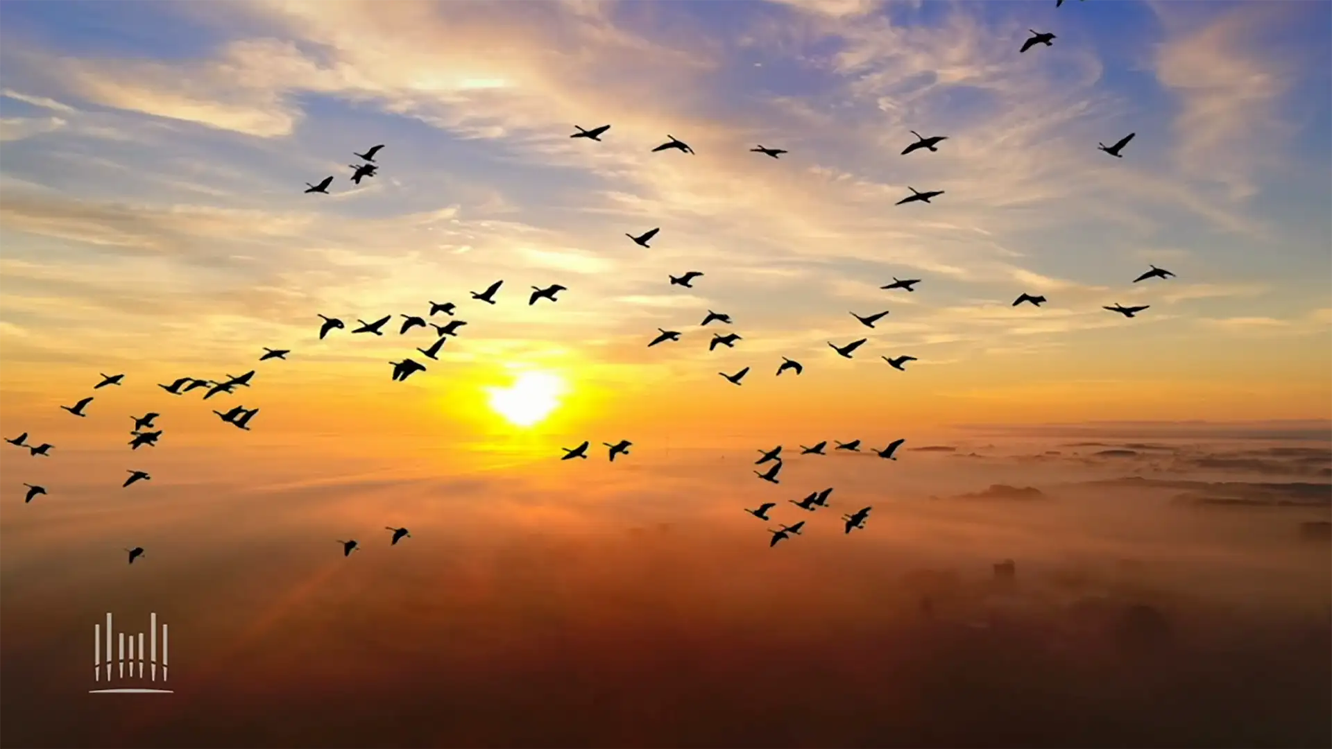 The Precious Gift of Books