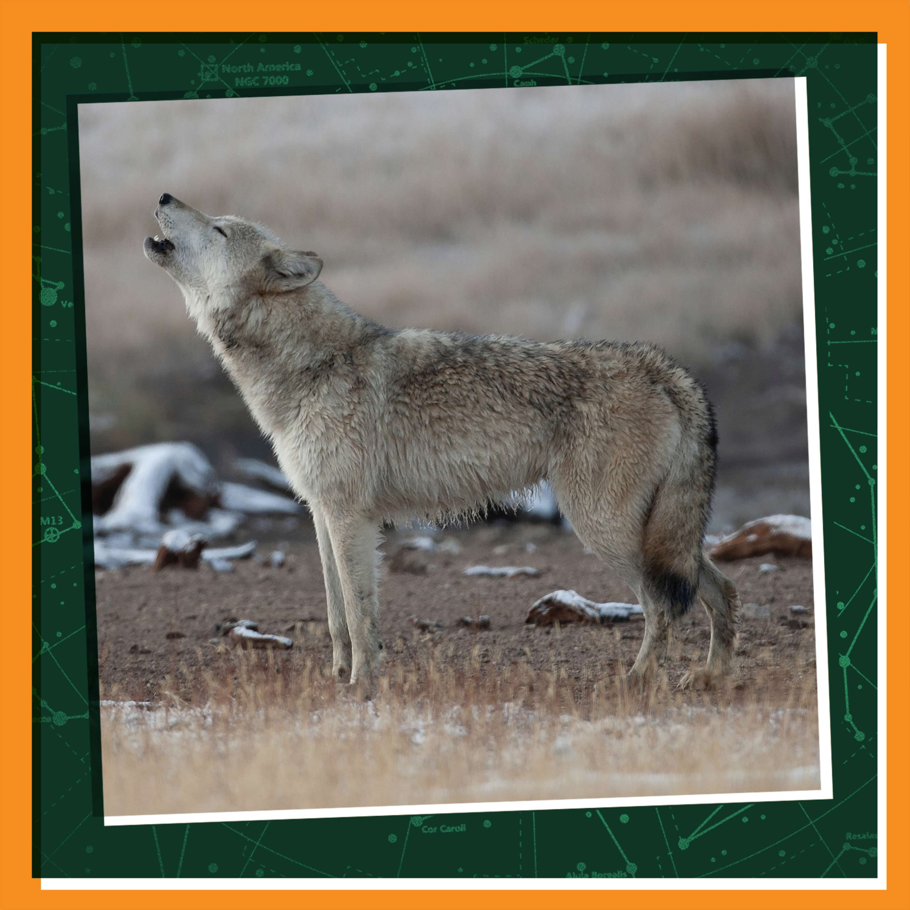 Loving and Healing the Land Loving and Healing the Land