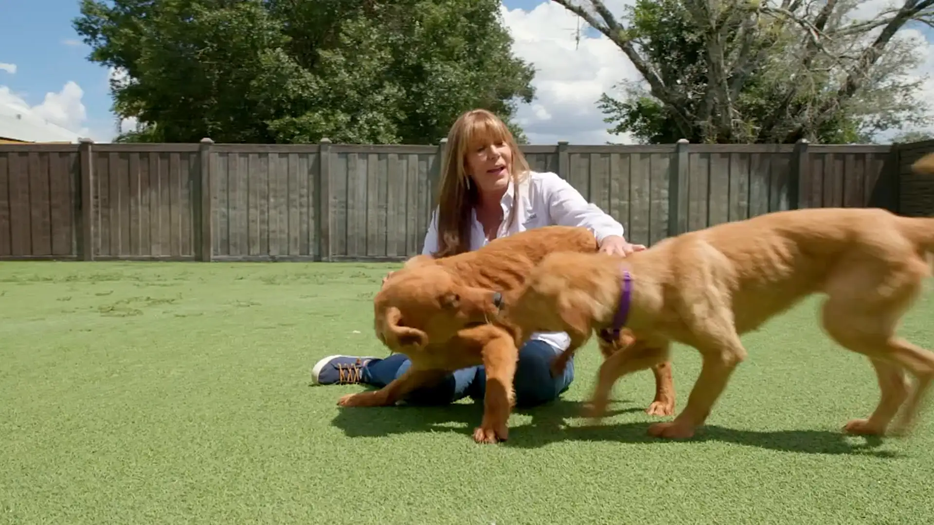 Big Dog Ranch Rescue: Lauree Simmons