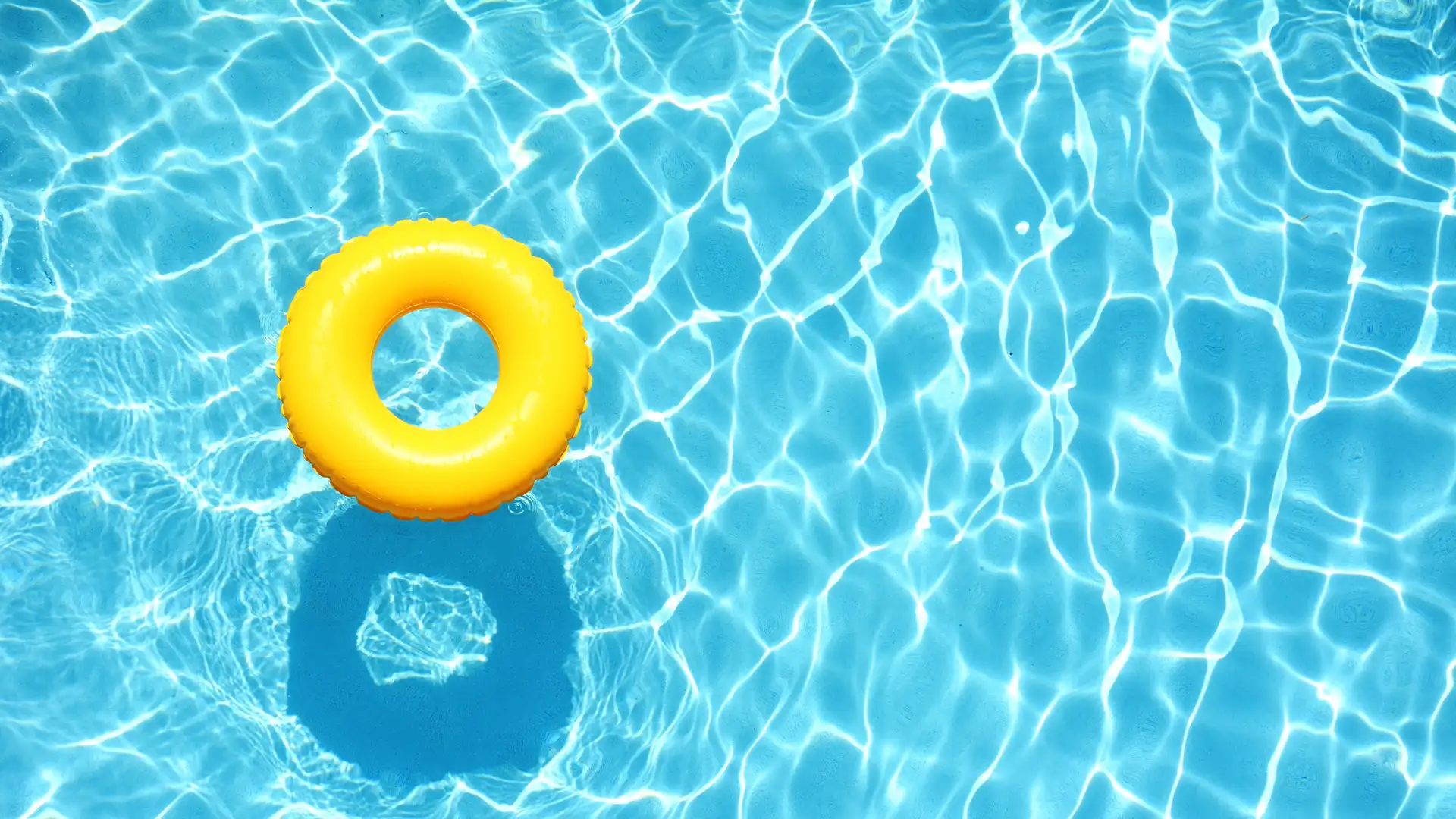 Why We Swim