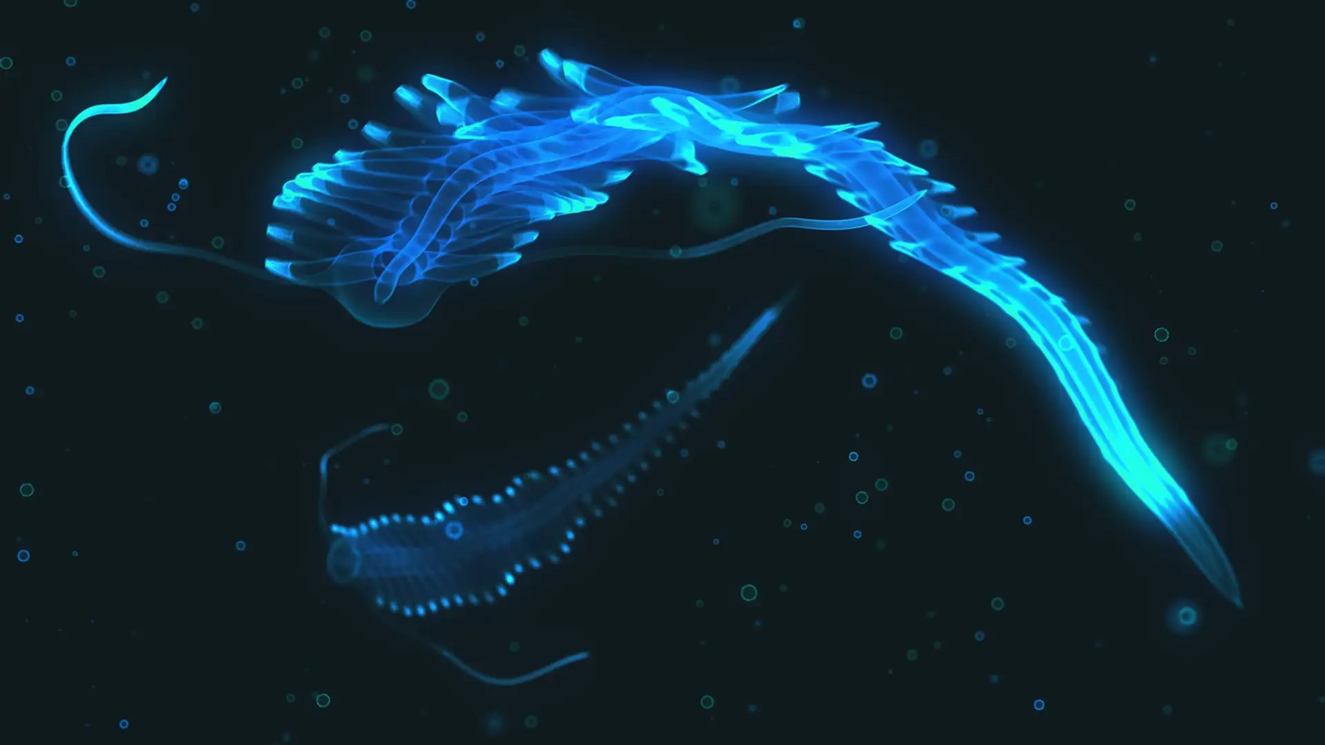 The Hidden Life of the Deep Ocean