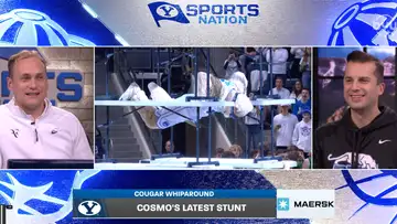 Cougar Whiparound 