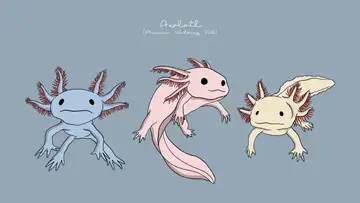 The Only Thing Stranger than a Medieval Bestiary Is a Modern One