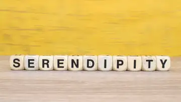 LOOKING BACK AT LIFE AND SEEING THE SERENDIPITY