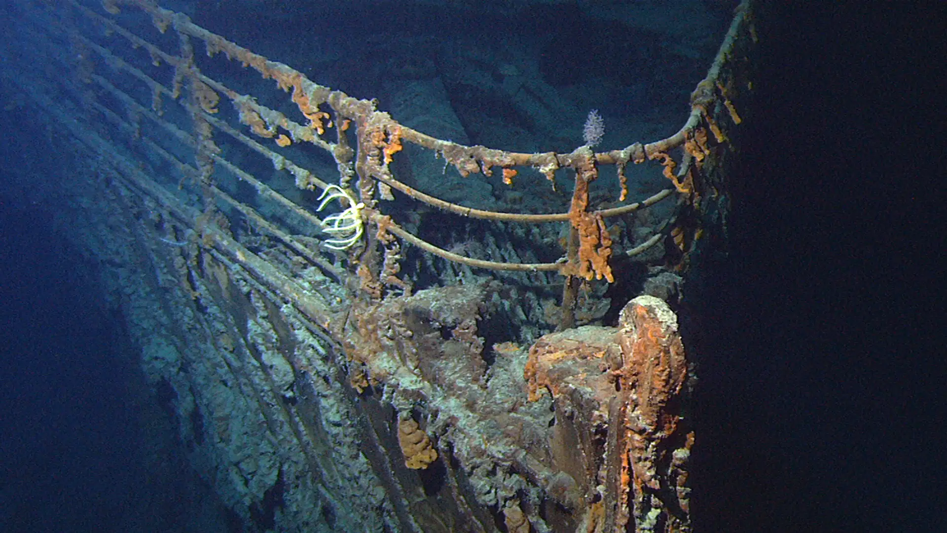 Into the Deep