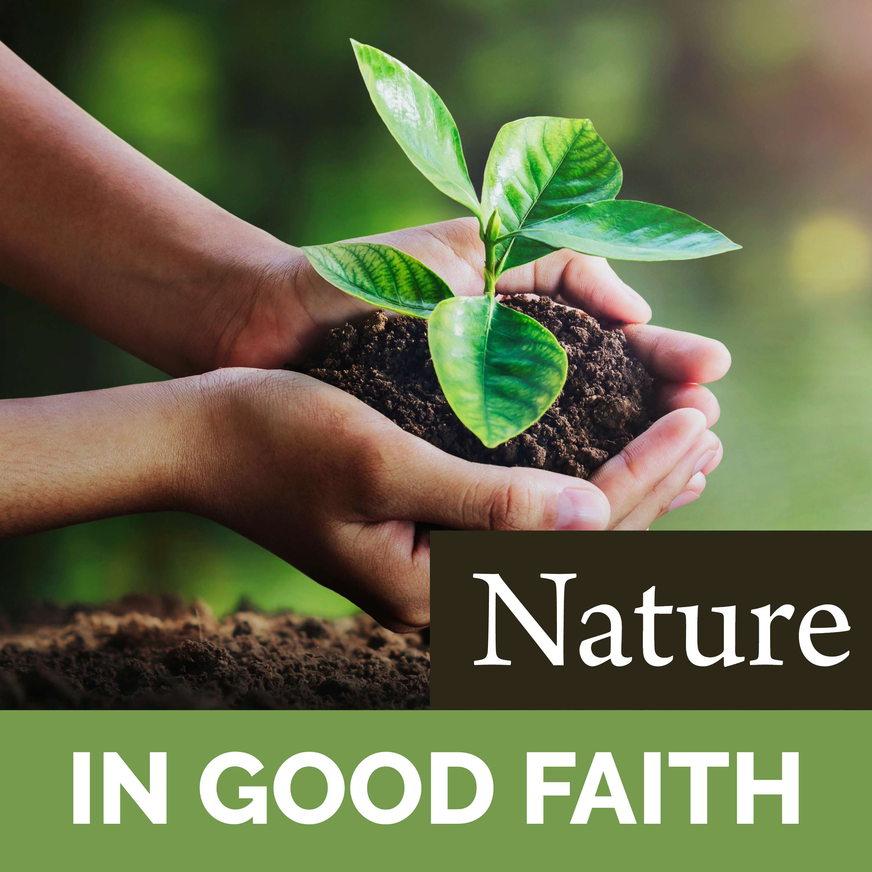 In Good Faith