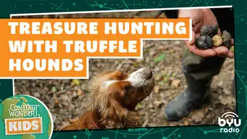Treasure Hunting with Truffle Hounds