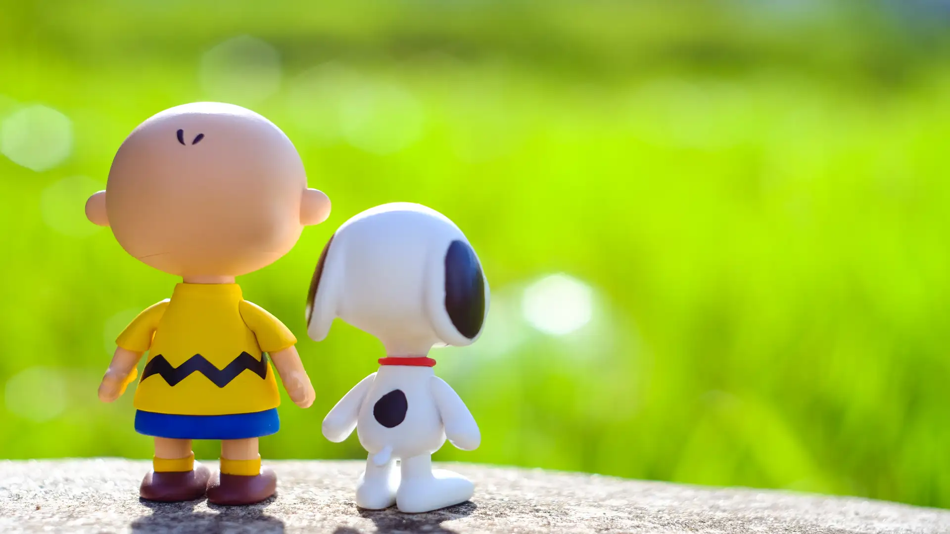 Peanuts and the Meaning of Life