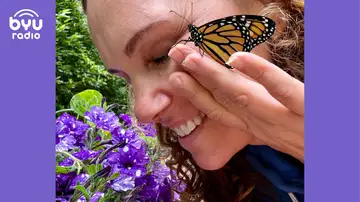 Milkweed and Miracles: Stories of Wonder and Metamorphosis
