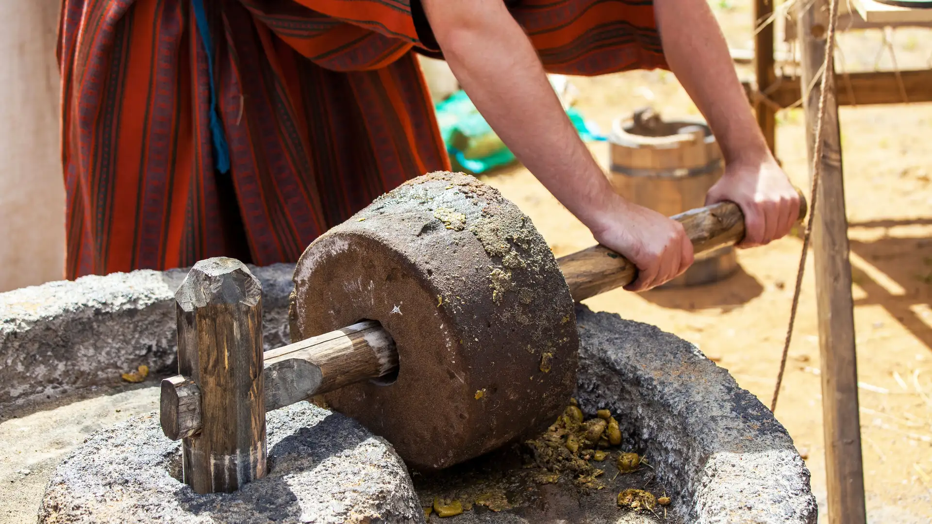 How to Cook Like the Ancient Romans