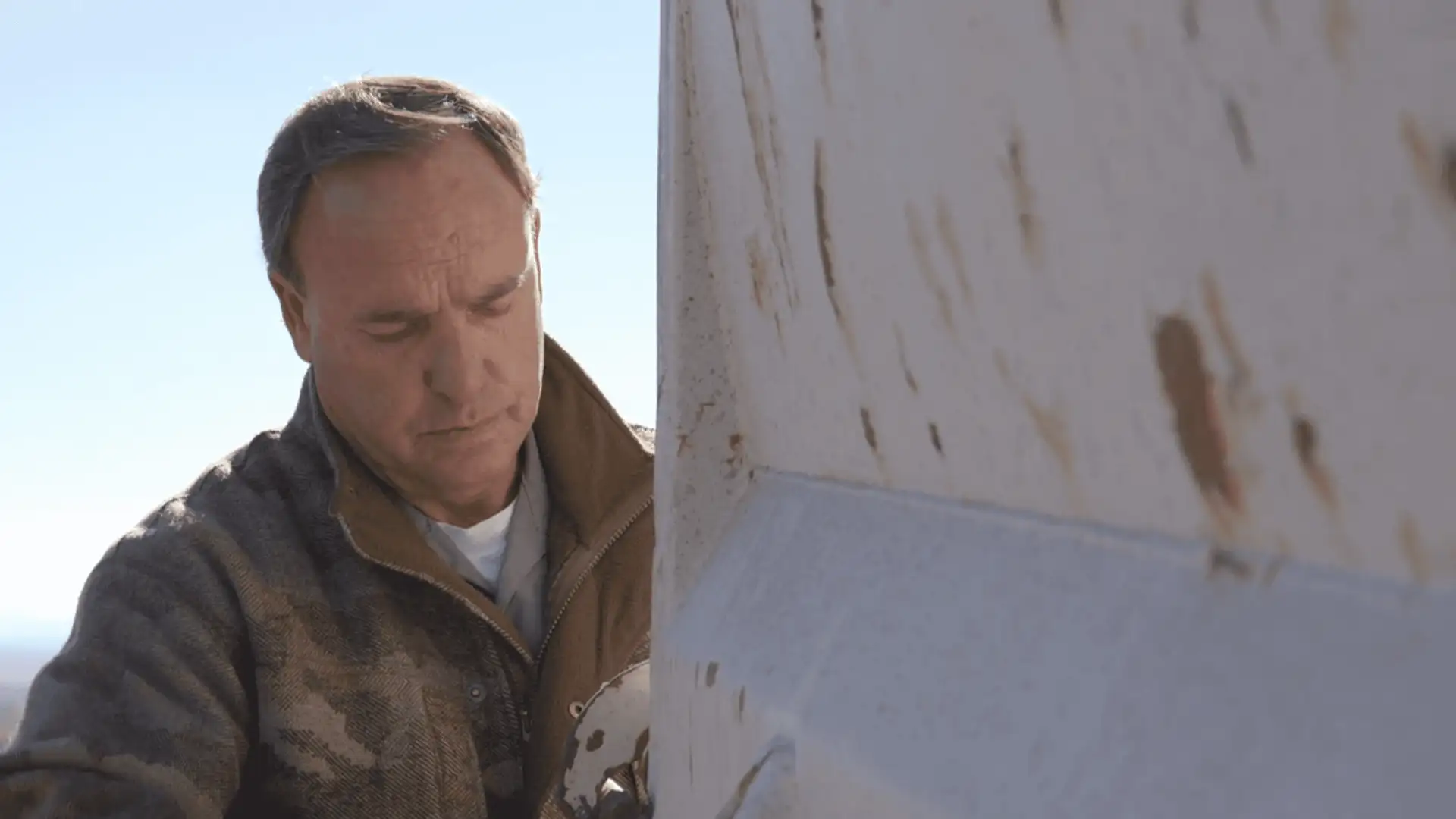 The Cat That Saved My Life