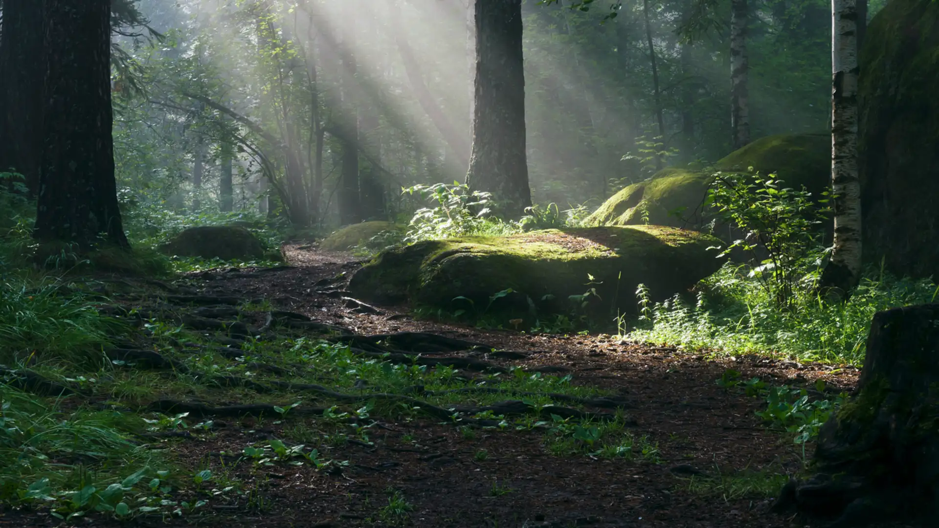 EXTRA: "Where All Stories Come From" collected by Martha Hamilton and Mitch Weiss