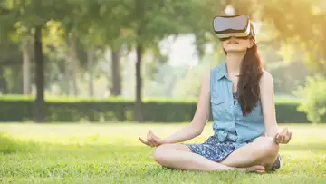 Virtual Nature