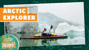 Arctic Explorer