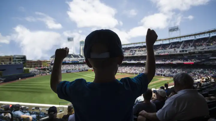 Baseball Game Tips and Tricks for Fans and Beginners