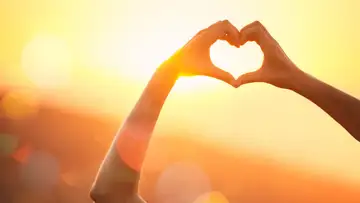 The Heart's Condition