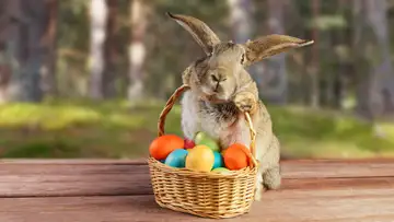 The Inflatable Easter Bunnies of Half-Dollar by Bil Lepp