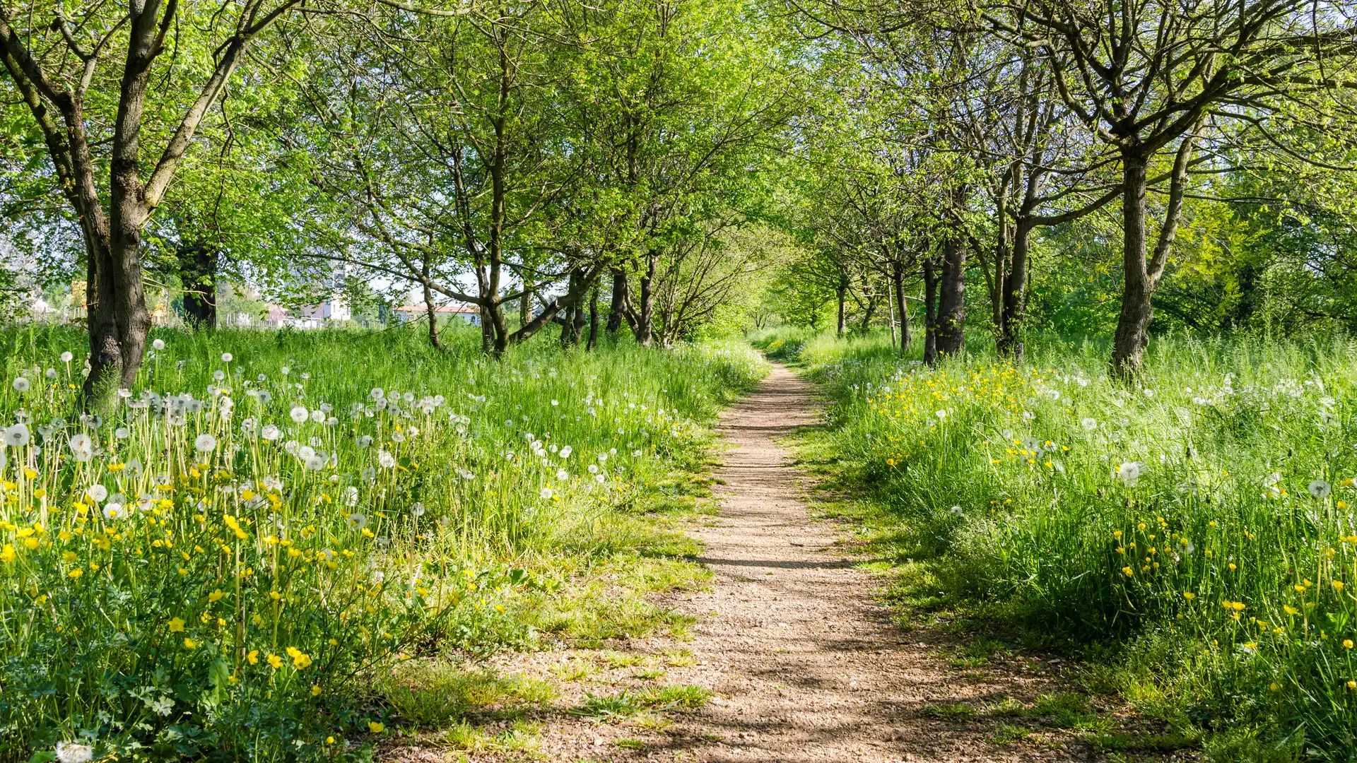 Three-Letter Lesson #27: S&N