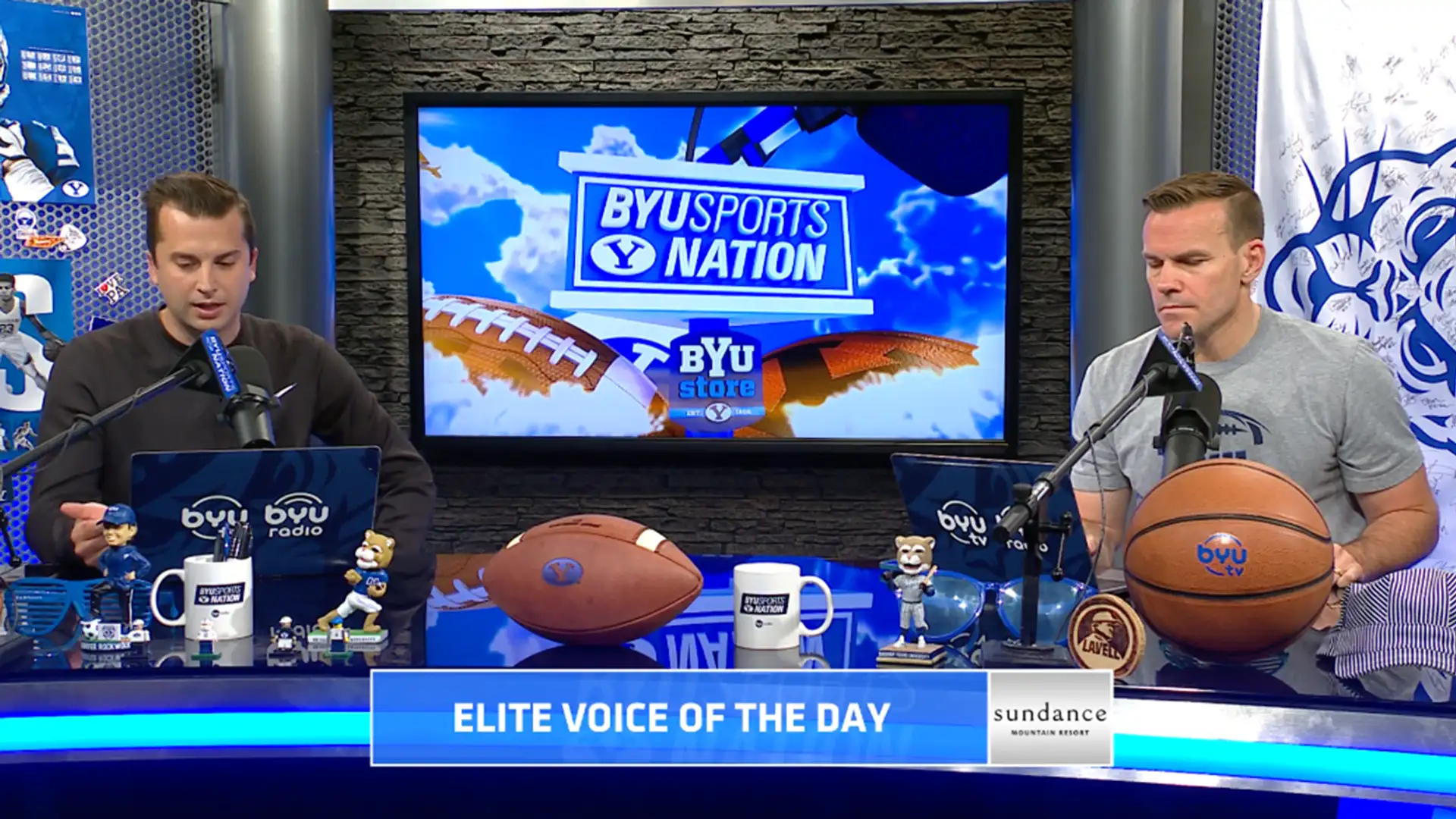 Elite Voice of the Day