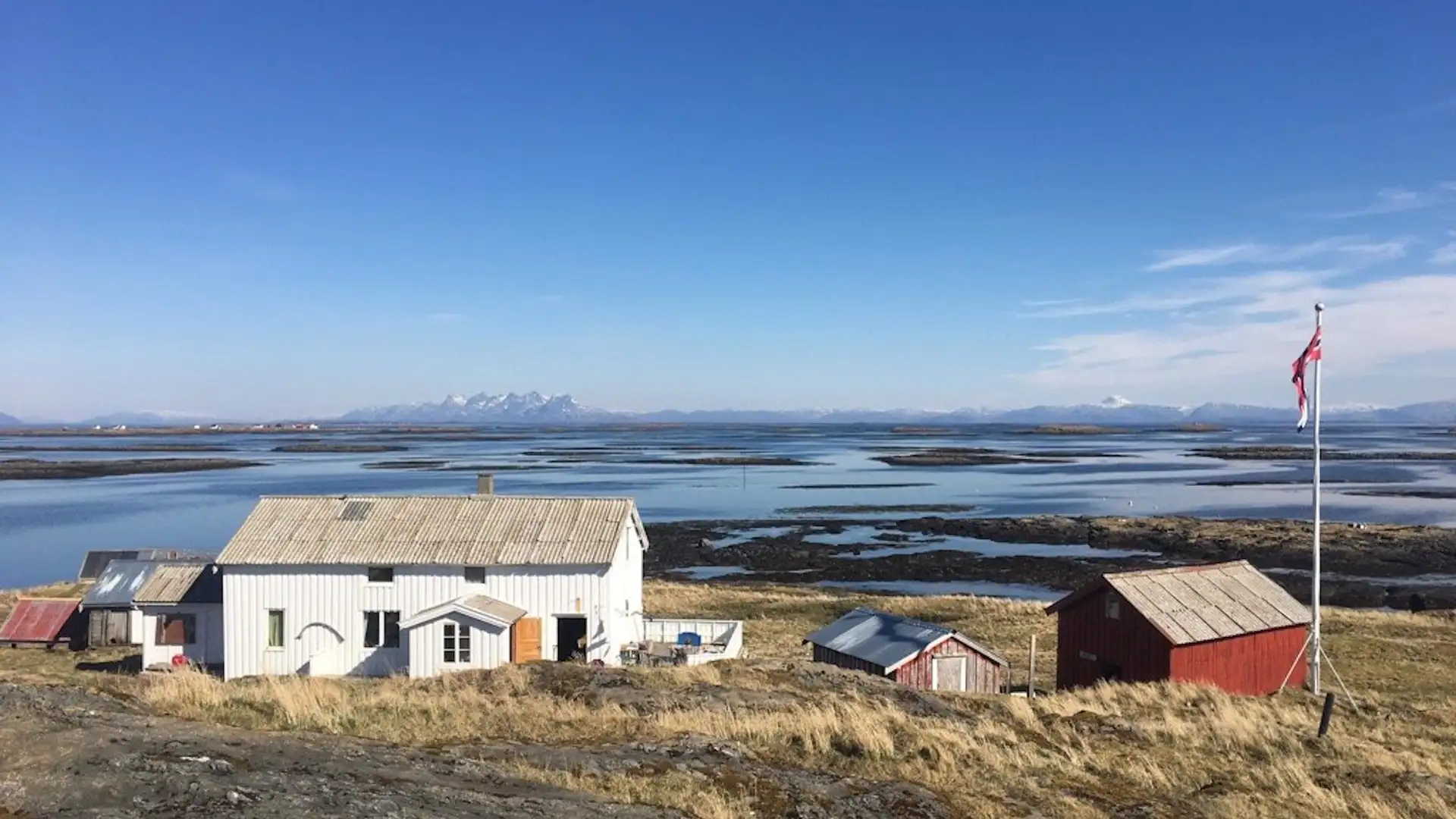 Collecting Eiderdown on the Rugged Rocks of the Atlantic