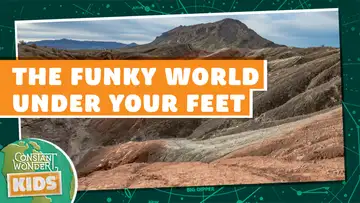 The Funky World Under Your Feet