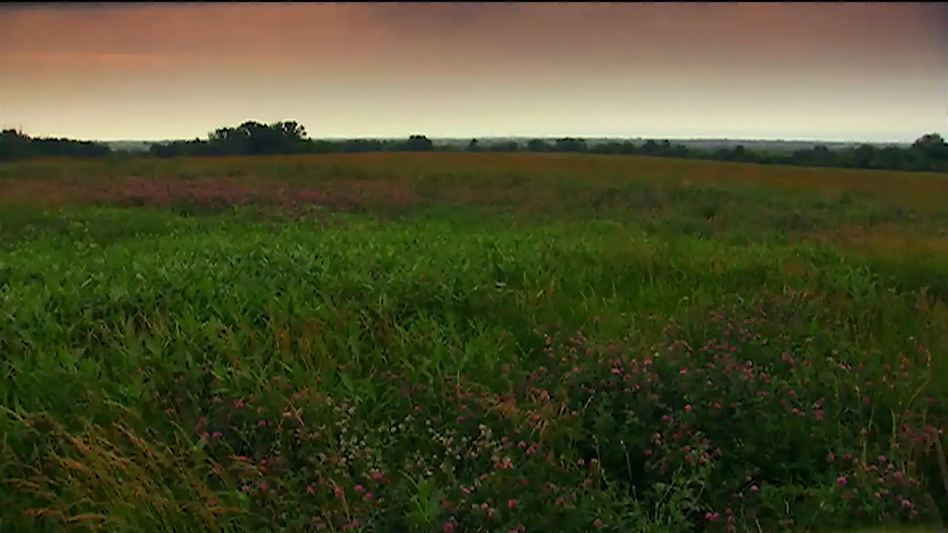 Zion and a New Jerusalem