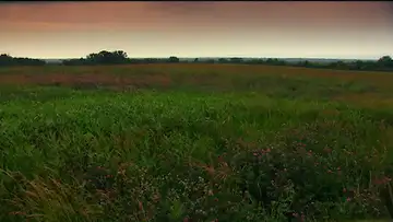 Zion and a New Jerusalem