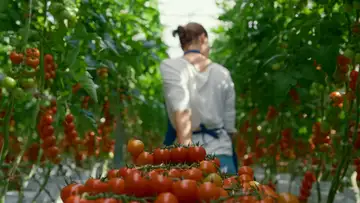 Cultivate: Rescued Food