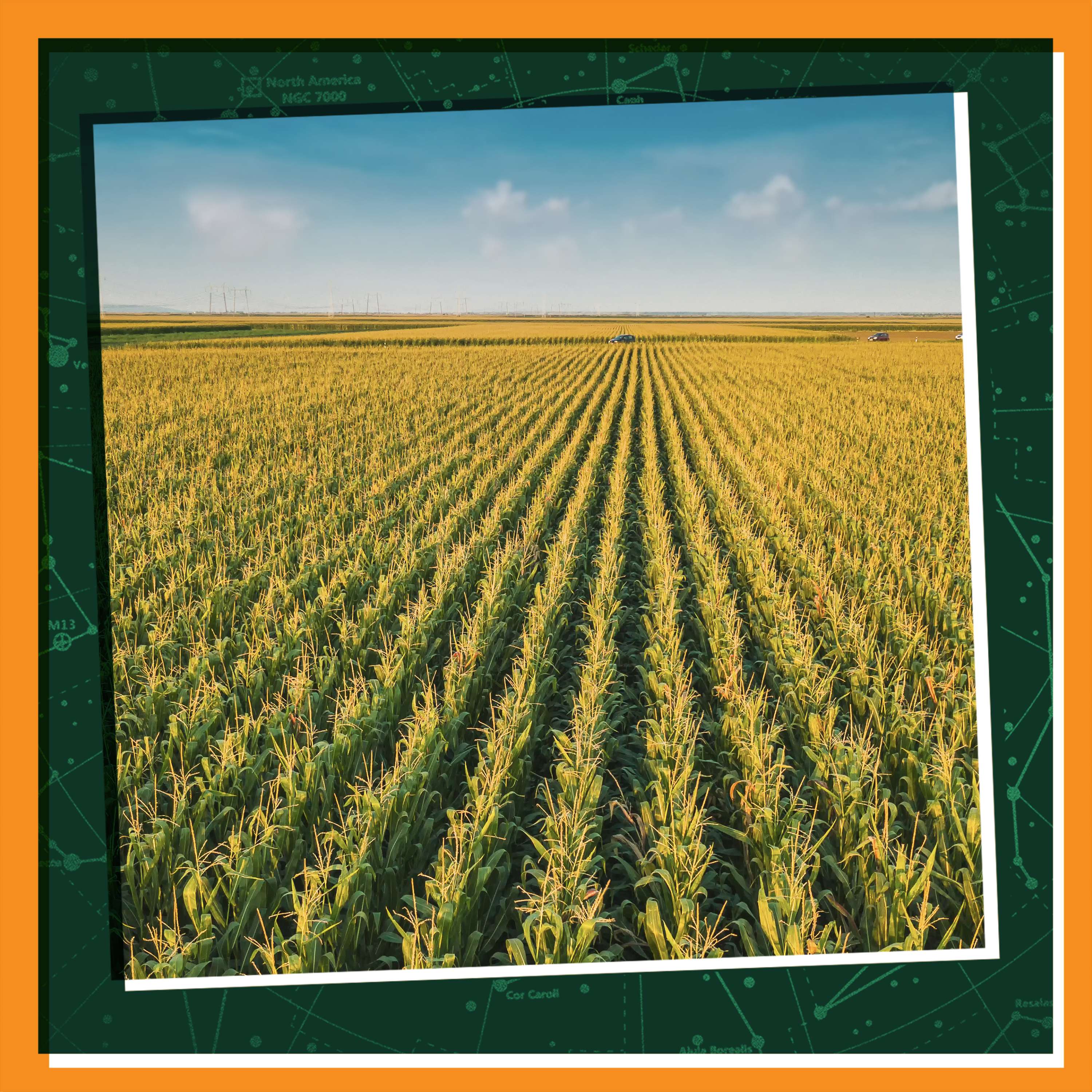 Finding Wonder Right Where You Are