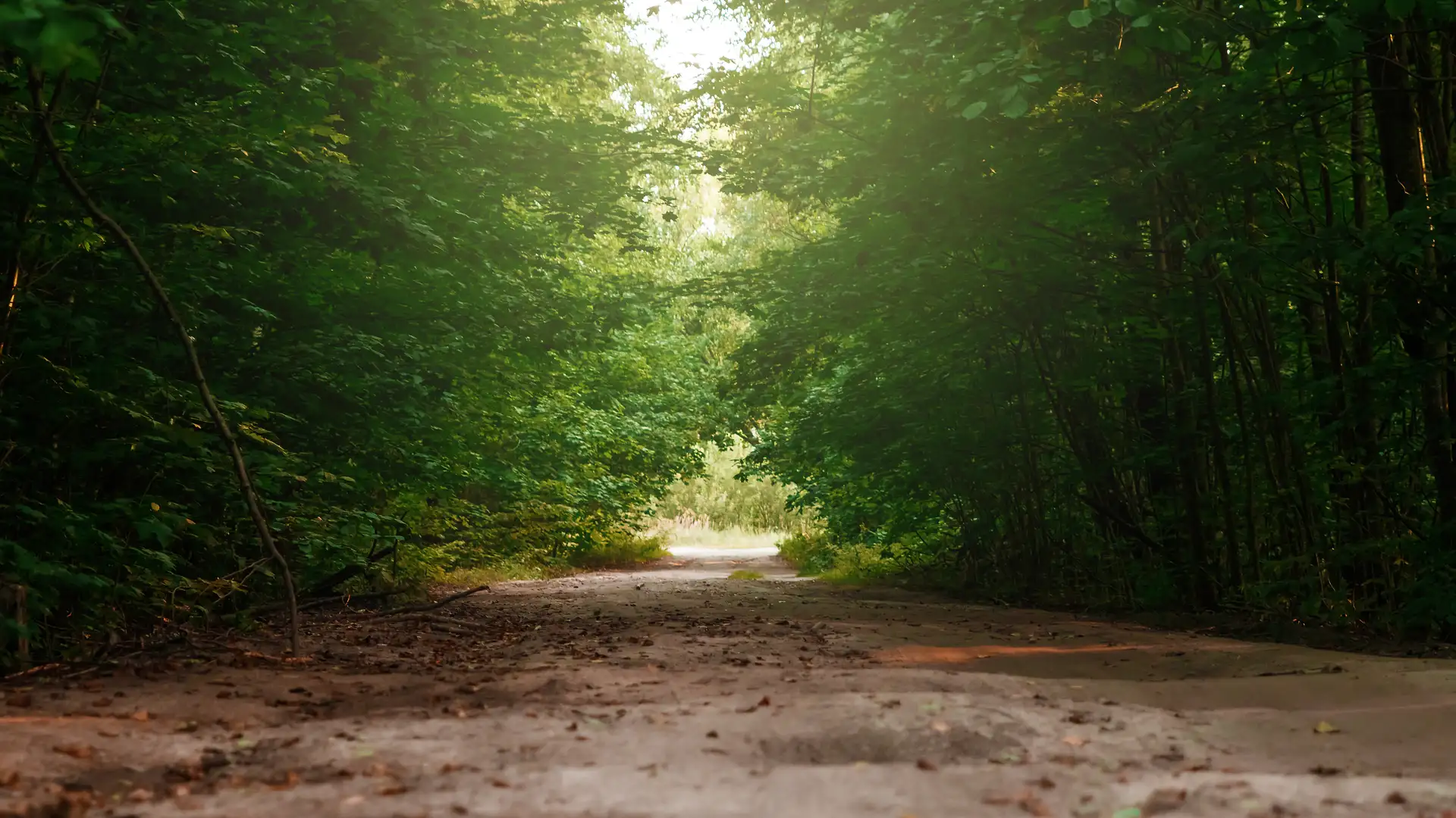 Discovering God's Plan for You