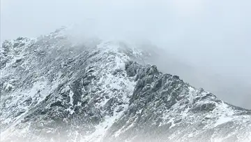 Why Even Experts Take Dangerous Risks in the Wild