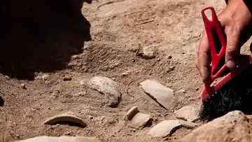 What 5,700-year-old Gum Tells Us About the Woman Who Chewed It