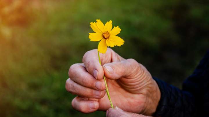 Little Acts of Kindness