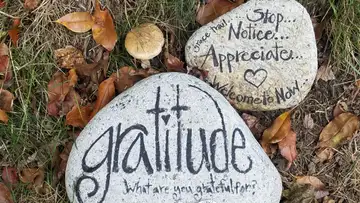 The Grateful Life