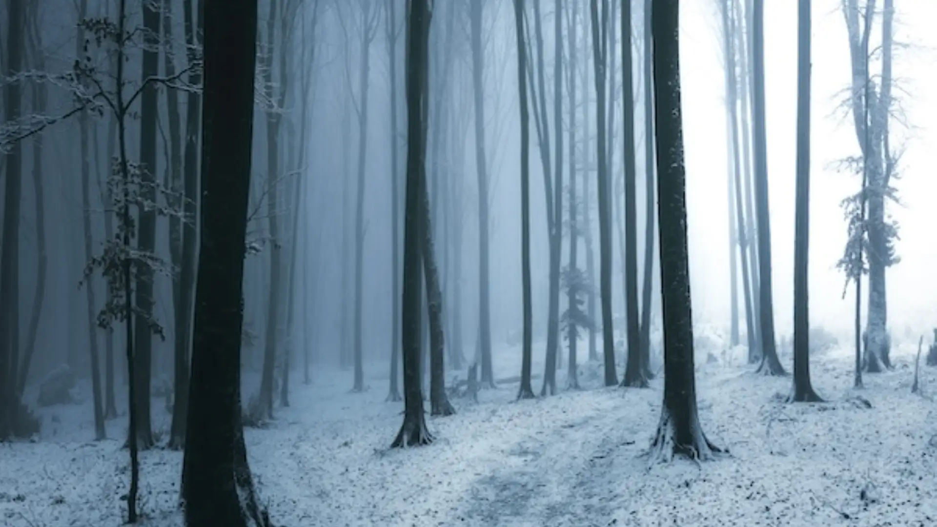 Hope in the Bleak Midwinter - December 4