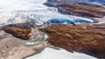 Ice Bacteria