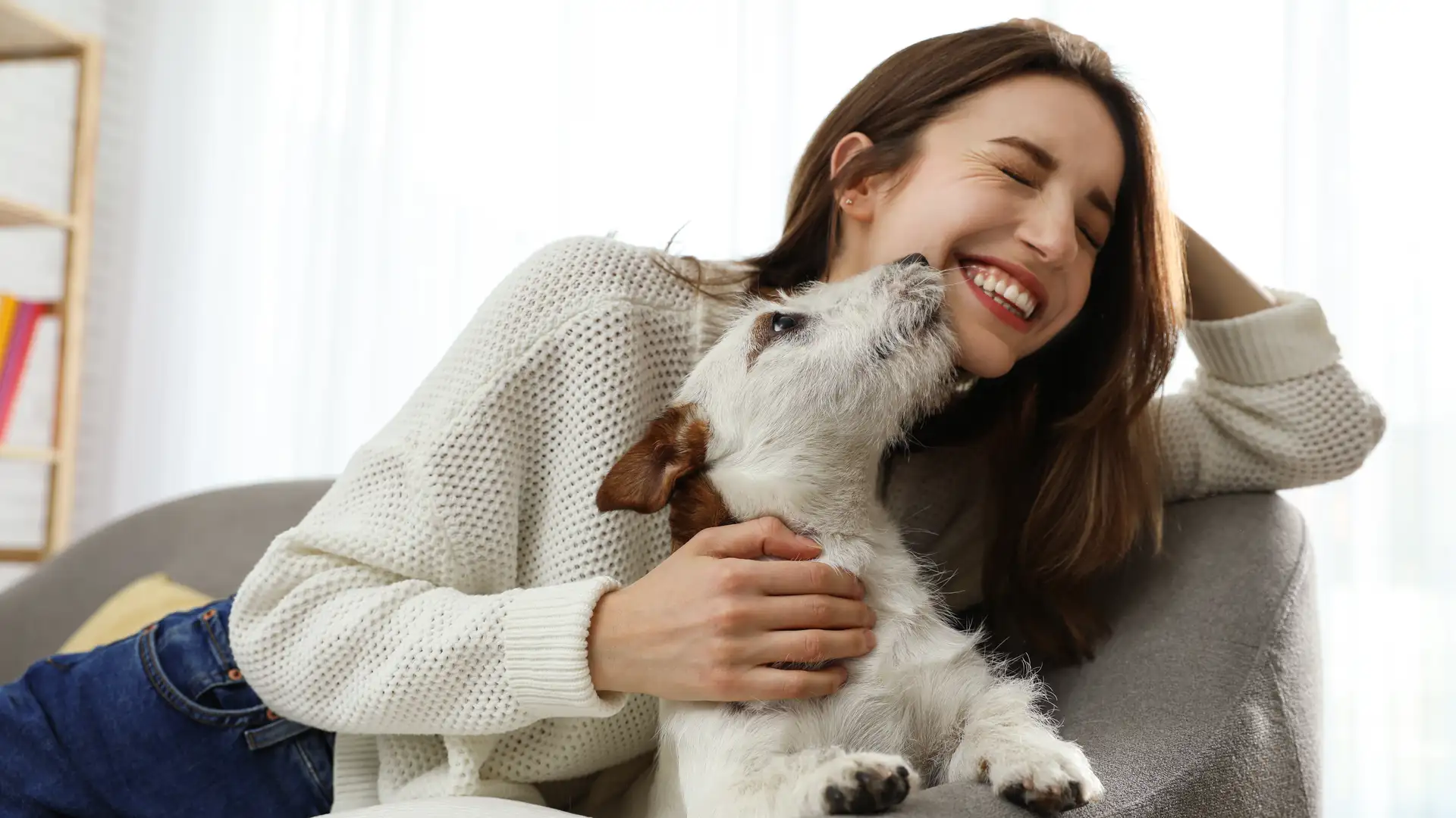 Pet Friendly National Parks