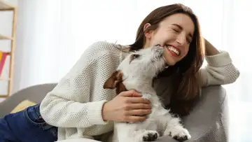 Pet Friendly National Parks