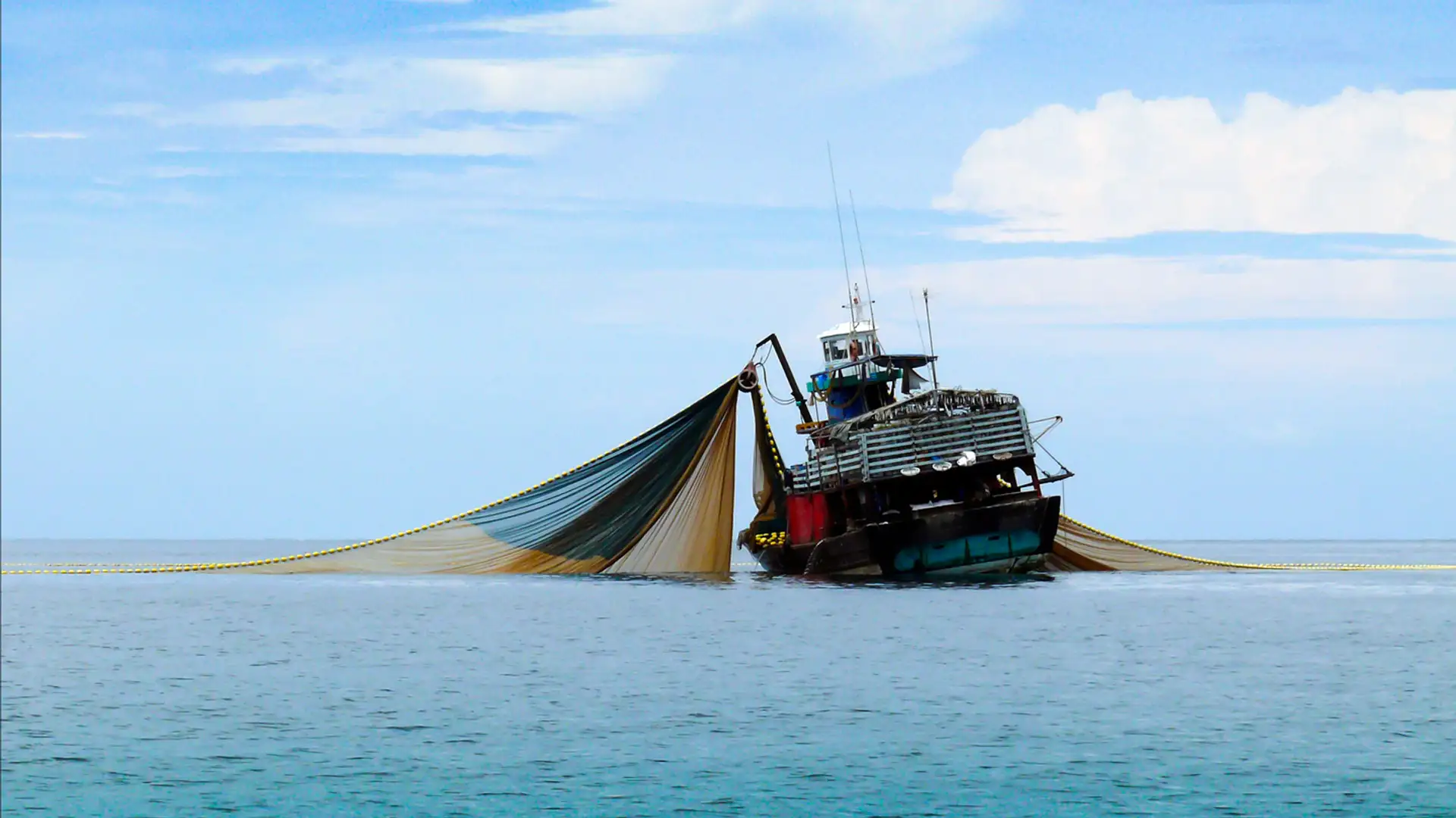 Carbon Fishing Trawling