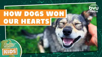 How Dogs Won Our Hearts