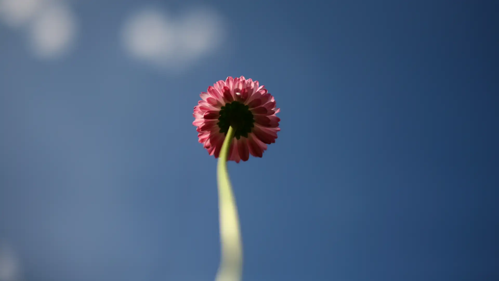 Spiritual Refinement